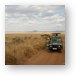 One of the Land Cruisers stopping to look at animals Metal Print