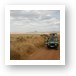 One of the Land Cruisers stopping to look at animals Art Print