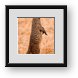 Buy Framed Print