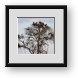 Buy Framed Print