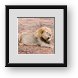 Buy Framed Print