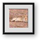 Buy Framed Print