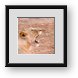 Buy Framed Print