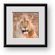 Buy Framed Print