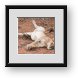 Buy Framed Print