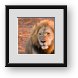 Buy Framed Print