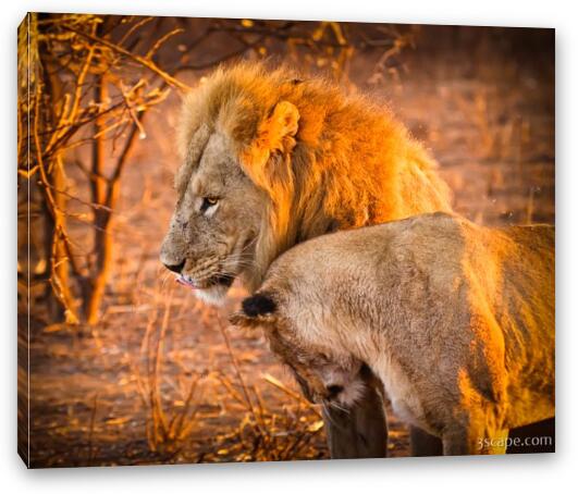 King and Queen Fine Art Canvas Print