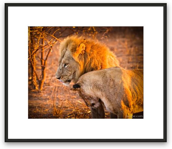 King and Queen Framed Fine Art Print