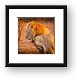 King and Queen Framed Print