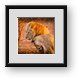 Buy Framed Print