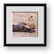 Buy Framed Print