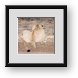 Buy Framed Print