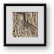 Buy Framed Print