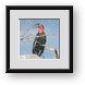 Buy Framed Print