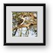 Buy Framed Print