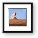 African Vervet Monkey Framed Print