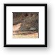 Lion resting in the shade Framed Print