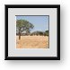 Buy Framed Print
