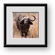 Buy Framed Print
