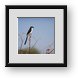 Buy Framed Print