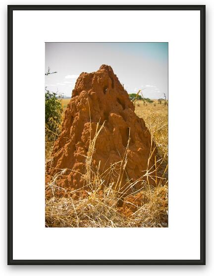 Large termite mound Framed Fine Art Print
