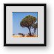 Buy Framed Print