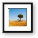 Candelabra Trees Framed Print