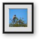 Buy Framed Print