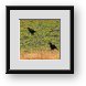 Buy Framed Print