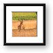 Buy Framed Print