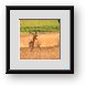 Buy Framed Print
