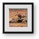 Buy Framed Print