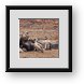 Buy Framed Print
