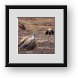 Buy Framed Print