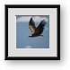 Buy Framed Print