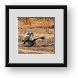 Buy Framed Print