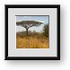 Buy Framed Print