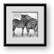Buy Framed Print