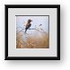 Buy Framed Print