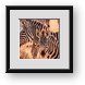 Buy Framed Print