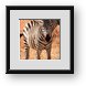 Buy Framed Print
