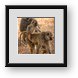 Buy Framed Print