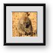 Buy Framed Print
