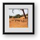 Buy Framed Print
