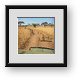 Buy Framed Print