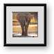 Buy Framed Print