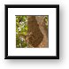 Buy Framed Print