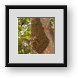 Buy Framed Print