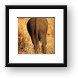 Elephant butt Framed Print