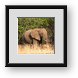 Buy Framed Print